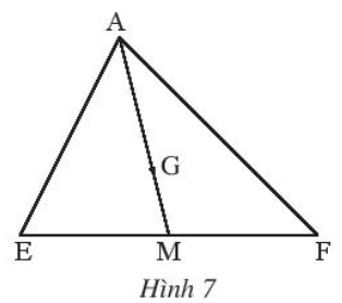 Lý thuyết trọng tâm toán 7 chân trời bài 7: Tính chất ba đường trung tuyến của tam giác