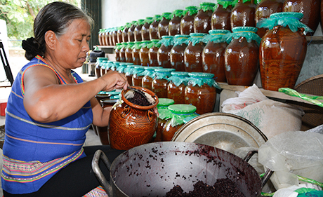 Gia đình Ba Na giữ nghề truyền thống làm rượu cần