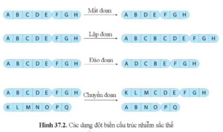 A table of text with letters and numbers

Description automatically generated