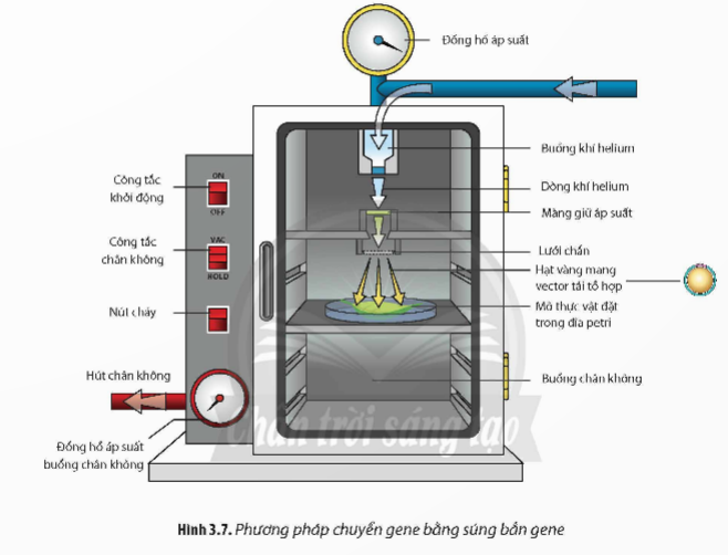 A diagram of a machine

Description automatically generated