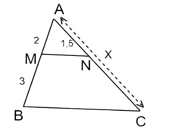 A triangle with a straight line</p></span><p>Description automatically generated