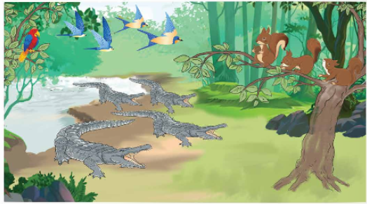 A cartoon of a crocodile and birds

Description automatically generated