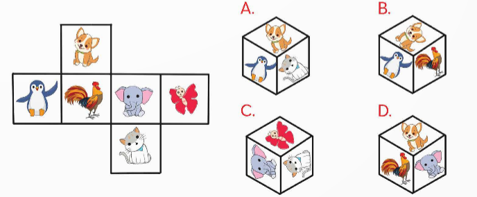 A group of cubes with cartoon animals

Description automatically generated