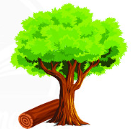 A tree with a log

Description automatically generated