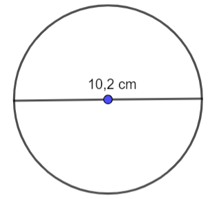 A circle with a blue dot in the center

Description automatically generated
