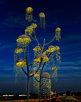 A tree with lights from it

Description automatically generated