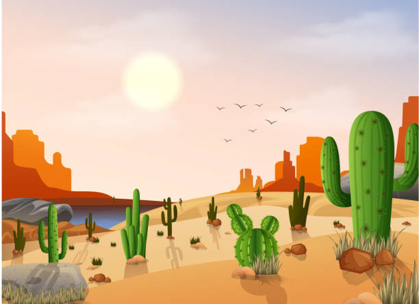 Desert Landscape With Cactus On The Sunset Background Stock Illustration - Download Image Now - iStock