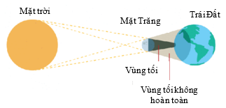 Trắc nghiệm KHTN 7 Kết nối tri thức Bài 15 (có đáp án): Năng lượng ánh sáng. Tia sáng, vùng tối (ảnh 2)