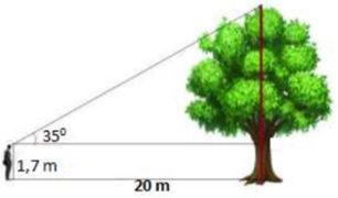 A tree with a line and a red line

Description automatically generated with medium confidence