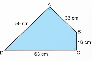 A triangle with the size of a triangle with Great Pyramid of Giza in the background

Description automatically generated with medium confidence