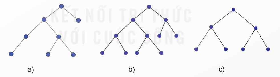 A diagram of a triangle with blue dots

Description automatically generated