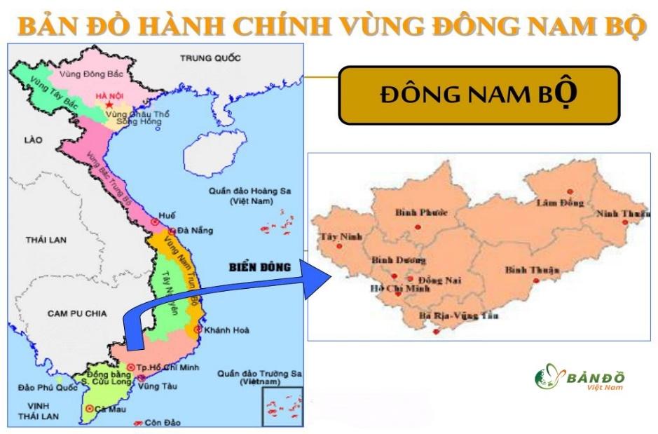 Lợi thế vượt trội của nông nghiệp vùng Đông Nam Bộ nước ta