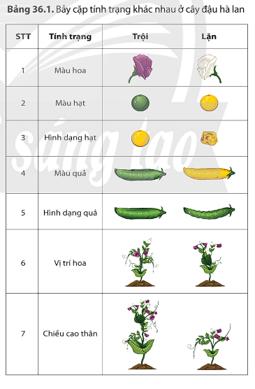 Ảnh có chứa văn bản, ảnh chụp màn hình

Mô tả được tạo tự động