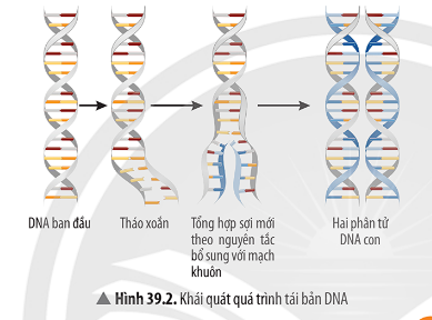 Ảnh có chứa văn bản, ảnh chụp màn hình, bộ xương, biểu đồ

Mô tả được tạo tự động