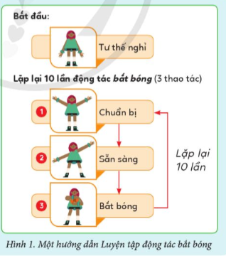 A diagram of a child

Description automatically generated