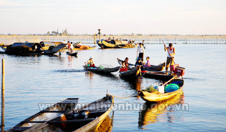 Đẩy mạnh phát triển đầm phá Tam Giang - Cầu Hai - thuathienhue.gov.vn