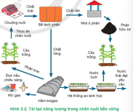 Chăn nuôi bền vững đem lại năng suất và chất lượng cao, mang lại lợi ích kinh tế cho người chăn nuôi, tạo thêm việc làm, mở rộng các doanh nghiệp sản xuất, chế biến, tiêu thụ sản phẩm chăn nuôi, góp phần ổn định xã hội và phát triển kinh tế