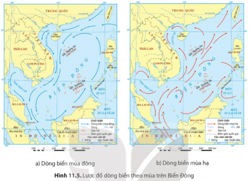 Dựa vào thông tin mục 3, hình 11.5 và kiến thức đã học, em hãy trình bày đặc điểm địa hình, khí hậu và hải văn ở vùng biển đảo nước ta.