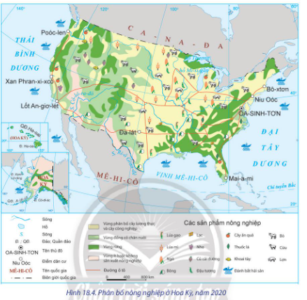 Dựa vài hình 18.4 và thông tin trong bài, hãy trình bày:  - Tình hình phát triểm ngành nông nghiệp ở Hoa Kỳ.  - Sự thay đổi trong sản xuất ngành nông nghiệp theo lãnh thổ của Hoa Kỳ.