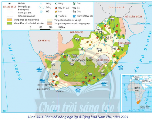 Dựa vài hình 30.3 và thông tin trong bài, hãy:  - Trình bày đặc điểm nổi bật của ngành nông nghiệp ở Công hòa Nam Phi.  - Xác định sự phân bố của một số nông sản chính ở Công hòa Nam Phi.