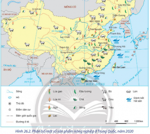 Dựa vào bảng 26.4, hình 26.2 và thông tin trong bài, hãy:  - Cho biết tình hình phát triển của ngành nông nghiệp ở Trung Quốc.  - Nhận xét đặc điểm phân bố nông nghiệp của Trung Quốc.