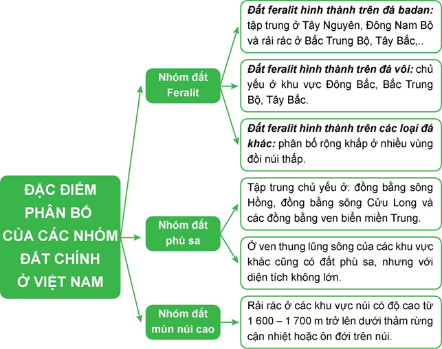 Lập sơ đồ thể hiện đặc điểm phân bố 3 nhóm đất chính của nước ta