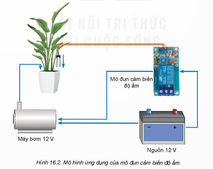 A diagram of a plant and a battery

Description automatically generated