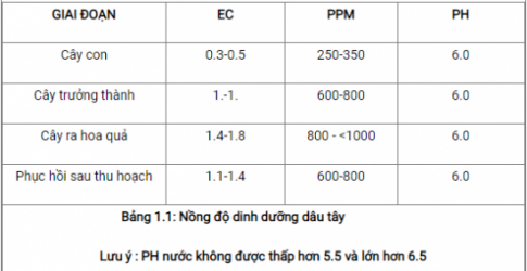 Giải bài 25 Công nghệ trồng cây không dùng đất