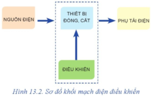 A diagram of a cat

Description automatically generated