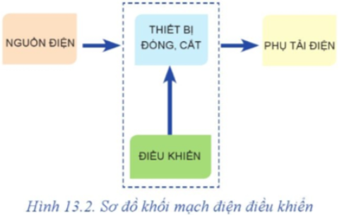 A diagram of a cat

Description automatically generated