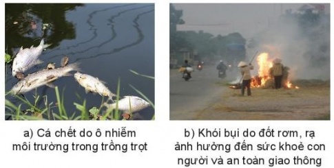 Giải bài 26 Sự cần thiết phải bảo vệ môi trường trong trồng trọt