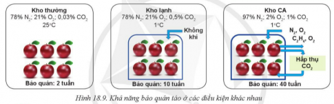 Giải bài 18 Ứng dụng công nghệ cao trong thu hoạch, bảo quản và chế biến sản phẩm trồng trọt