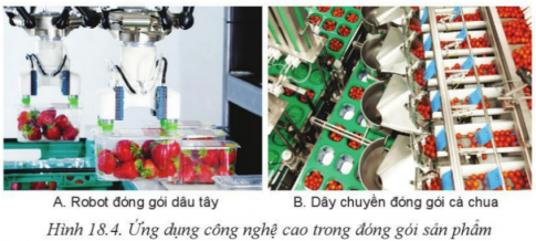 Giải bài 18 Ứng dụng công nghệ cao trong thu hoạch, bảo quản và chế biến sản phẩm trồng trọt