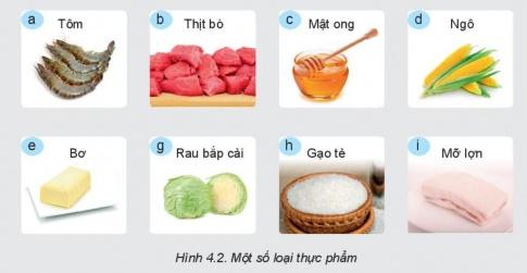 [Kết nối tri thức và cuộc sống] Giải công nghệ 6 bài 4: Thực phẩm và dinh dưỡng