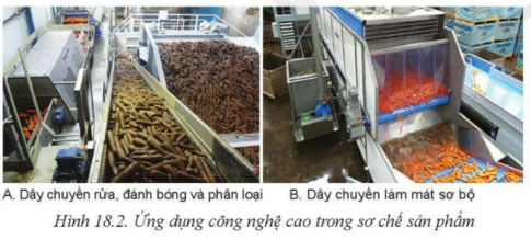 Giải bài 18 Ứng dụng công nghệ cao trong thu hoạch, bảo quản và chế biến sản phẩm trồng trọt