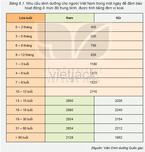 Tìm hiểu về nhu cầu dinh dưỡng của các thành viên trong gia đình