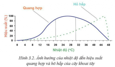 Giải bài 3 Mối quan hệ giữa cây trồng và các yếu tố chính trong trồng trọt