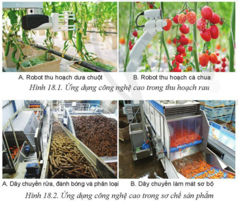 Giải bài 18 Ứng dụng công nghệ cao trong thu hoạch, bảo quản và chế biến sản phẩm trồng trọt