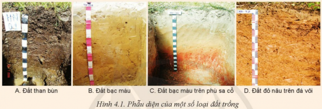 Giải bài 4 Thành phần và tinh chất của đất trồng