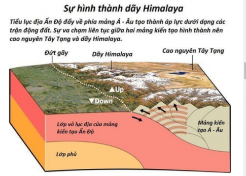 Em hãy nêu vai trò của quá trình nội sinh và ngoại sinh trong việc hình thành địa hình bề mặt Trái Đất