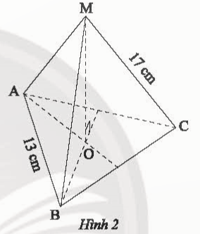 A diagram of a triangle with a triangle and a triangle with a triangle and a triangle with a triangle and a triangle with a triangle and a triangle with a triangle and a triangle with a triangle and with Great Pyramid of Giza in the background

Description automatically generated