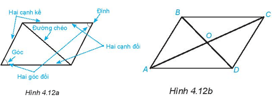 Hoạt động 6 trang 87 Toán 6 Tập 1 | Kết nối tri thức Giải Toán lớp 6