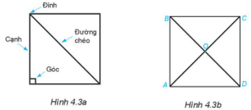 Hoạt động 3 trang 79 Toán 6 Tập 1 | Kết nối tri thức Giải Toán lớp 6