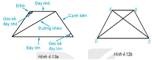 Hoạt động 8 trang 88 Toán 6 Tập 1 | Kết nối tri thức Giải Toán lớp 6