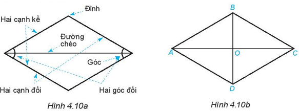 Hoạt động 4 trang 85 Toán 6 Tập 1 | Kết nối tri thức Giải Toán lớp 6