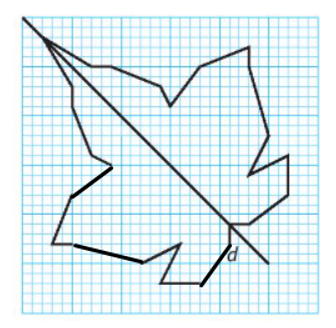 A drawing of a leaf on a graph paper

Description automatically generated