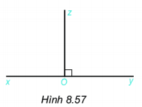 [Kết nối tri thức và cuộc sống] Giải toán 6 Bài tập cuối chương VIII 