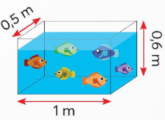 A fish in a tank

Description automatically generated