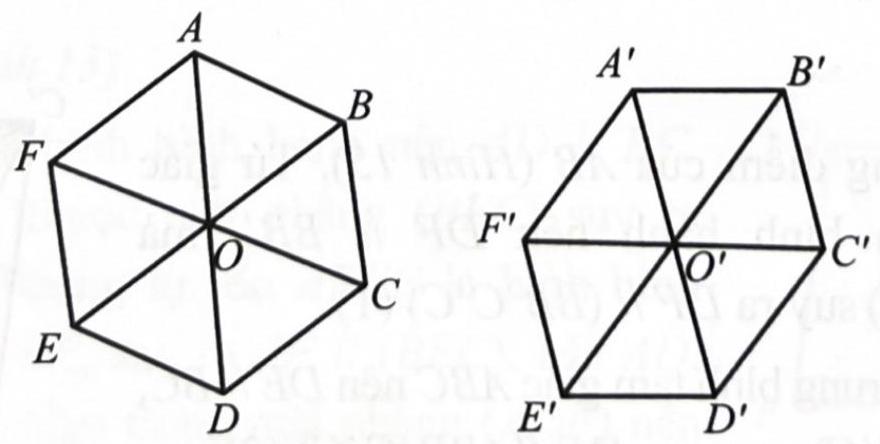 Ảnh có chứa hàng, biểu đồ, bản phác thảo, nghệ thuật gấp giấy origami

Mô tả được tạo tự động