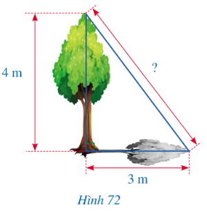 A diagram of a tree with red arrows

Description automatically generated